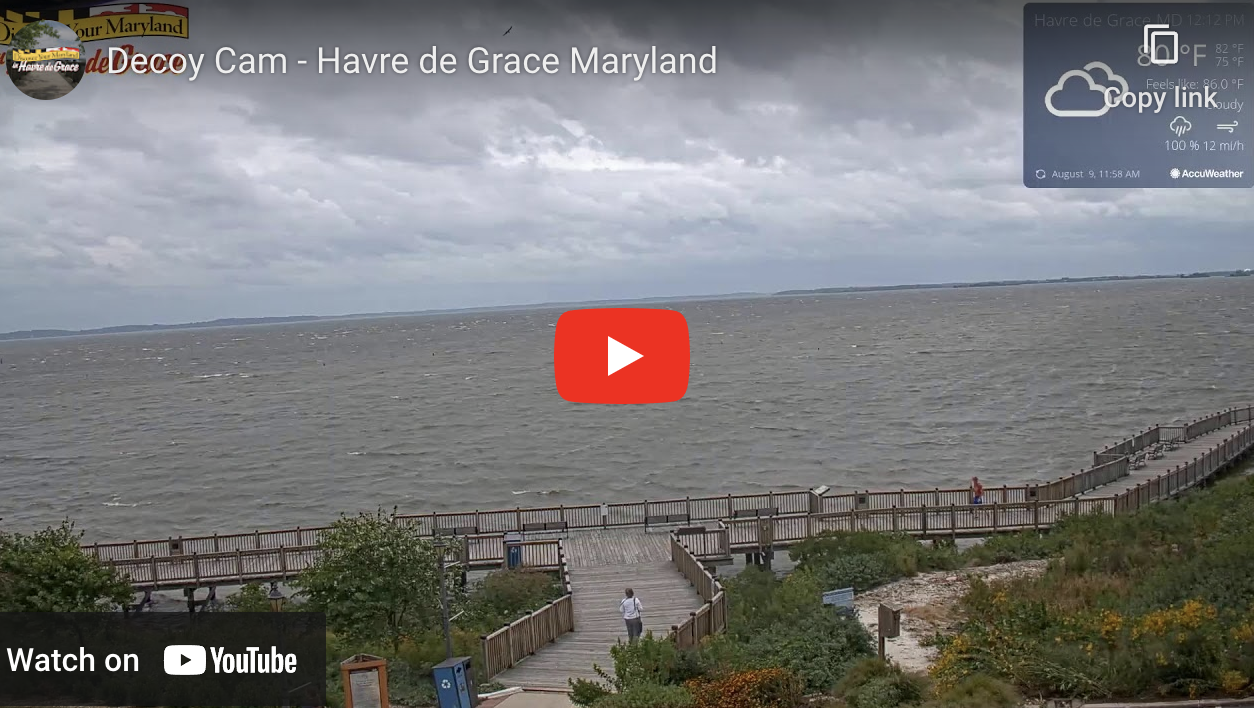 decory-cam-havre-de-grace-md